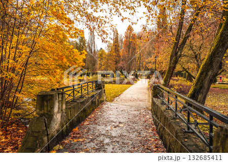 Golden leaves blanket the ground as visitors stroll through the serene park in Kudowa Zdroj, Poland. The rustic charm of the valley draws everyone into a peaceful autumn day. 132685411