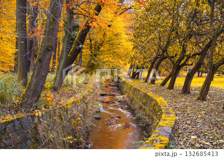 Golden leaves blanket the trees in Kudowa Zdroj park. A serene stream flows through the valley, surrounded by the vibrant hues of autumn foliage, creating a tranquil atmosphere. 132685413