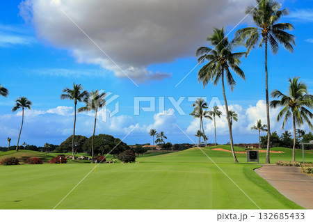 ハワイ（オアフ島）の休日（ゴルフライフ）カポレイゴルフクラブ 132685433