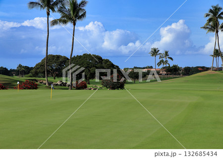 ハワイ（オアフ島）の休日（ゴルフライフ）カポレイゴルフクラブ 132685434