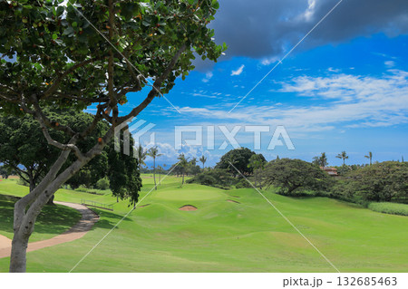 ハワイ（オアフ島）の休日（ゴルフライフ）カポレイゴルフクラブNO6 132685463
