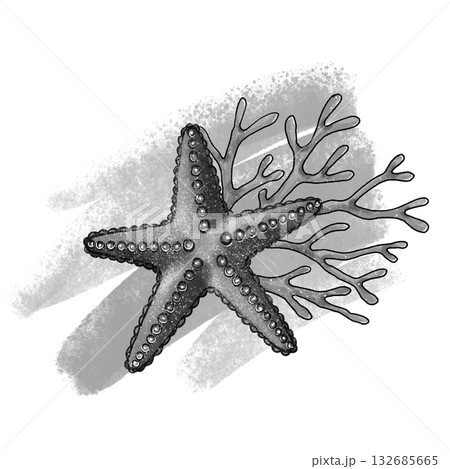 Black and white starfish and coral graphic Black and white starfish and coral graphic 132685665