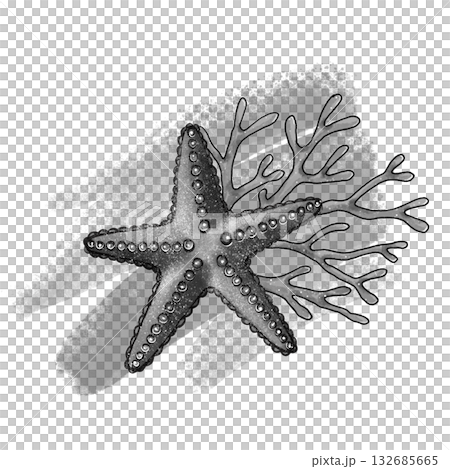 Black and white starfish and coral graphic 132685665