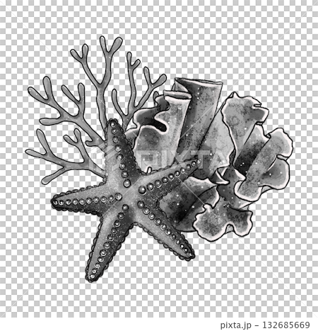 Black and white starfish and corals graphic Black and white starfish and corals graphic 132685669