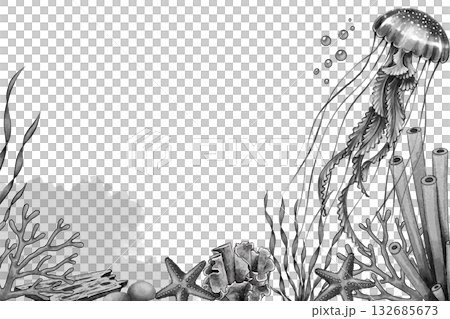 Black and white jellyfish marine frame Black and white jellyfish marine frame 132685673