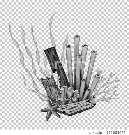 Black and white coral wood composition 132685675