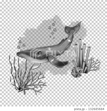 Black and white whale coral composition 132685684