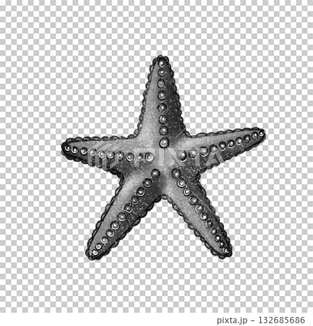 Black and white starfish graphic 132685686