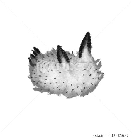 Black and white sea slug graphic Black and white sea slug graphic 132685687