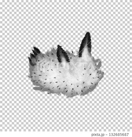 Black and white sea slug graphic Black and white sea slug graphic 132685687