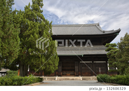 東福寺　境内から見る本堂（仏殿兼法堂）2 132686329