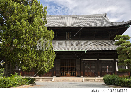 東福寺　境内から見る本堂（仏殿兼法堂）4 132686331