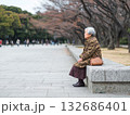 公園の大通りのわきに腰掛け遠くを見つめる白髪のシニア女性 132686401
