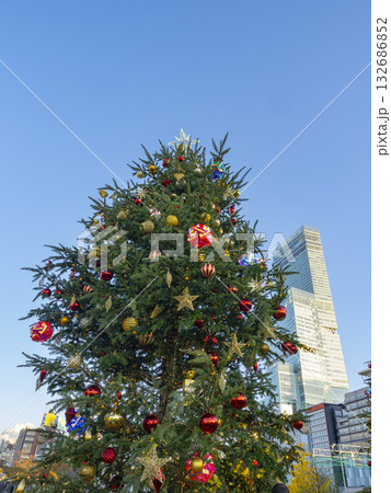 青空に映える聖夜の彩り 132686852