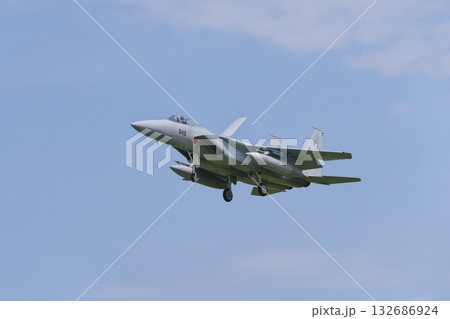 着陸態勢の飛行教導群 アグレッサー部隊のF-15J 着陸態勢の飛行教導群 アグレッサー部隊のF-15J 132686924