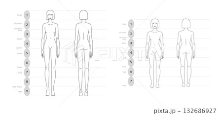 Vector illustration diagram of a 9 and 7 head woman, displaying front, and back view. Perfect for fashion sketches, Vector illustration diagram of a 9 and 7 head woman, displaying front, and back view. Perfect for fashion sketches, 132686927