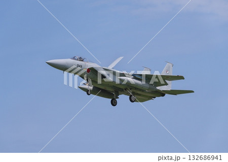 着陸態勢の飛行教導群　アグレッサー部隊のF-15J 132686941