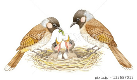 幸せなヒヨドリの家族のやわらか水彩 132687015