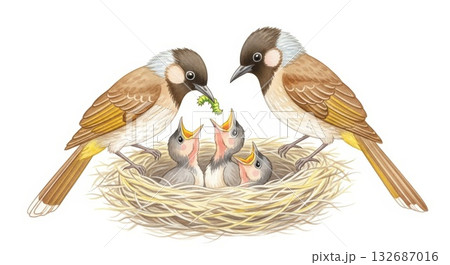 幸せなヒヨドリの家族のやわらか水彩 132687016