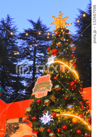 キラキラ輝くクリスマスオーナメント 132687086