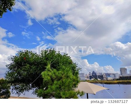 夏の青空と白い雲 夏の青空と白い雲 132687127
