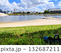 芝生と砂浜のある公園 132687211