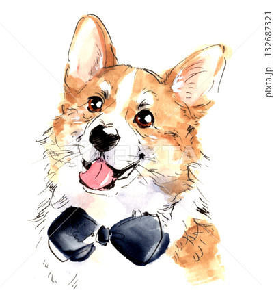 蝶ネクタイをつけた笑顔のコーギーの水彩画 蝶ネクタイをつけた笑顔のコーギーの水彩画 132687321