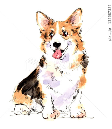 座って微笑むコーギーのかわいい水彩画 132687322