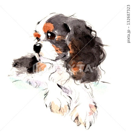 優しく見つめるキャバリア・キング・チャールズ・スパニエルの水彩画 優しく見つめるキャバリア・キング・チャールズ・スパニエルの水彩画 132687323