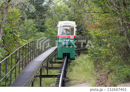 どんどこ森 132687401