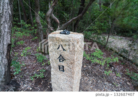 どんどこ森 132687407