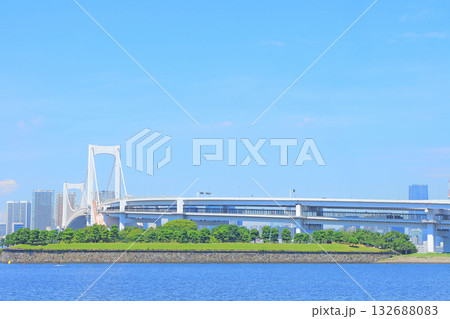 東京都港区、レインボーブリッジの風景 132688083