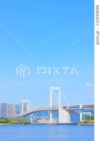 東京都港区、レインボーブリッジの風景 東京都港区、レインボーブリッジの風景 132688086