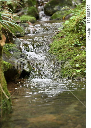 晩秋の小谷 132688502