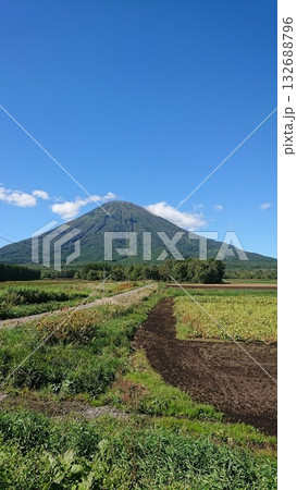 羊蹄山 羊蹄山 132688796