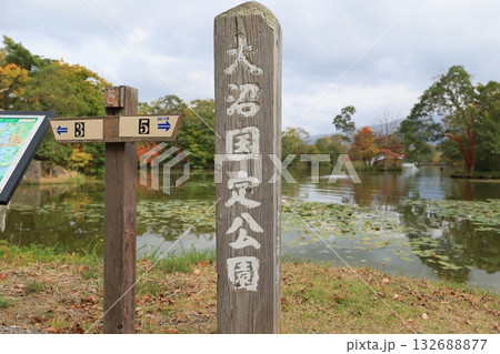 大沼国定公園 大沼 小沼 132688877