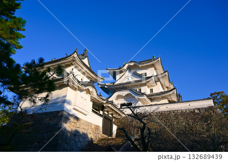 伊賀上野城 天守閣 132689439