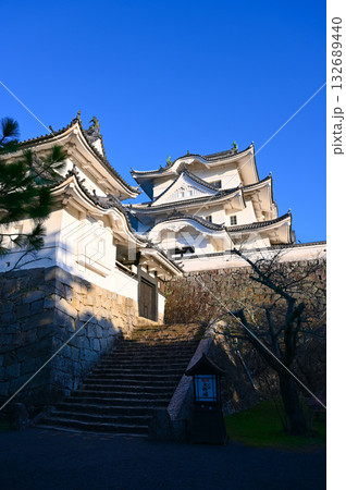 伊賀上野城 天守閣 伊賀上野城 天守閣 132689440