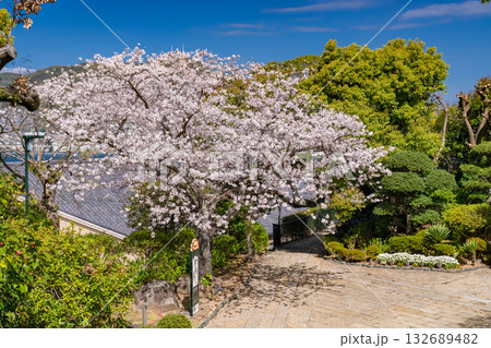 《長崎県》長崎市・坂の街並み 132689482