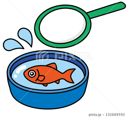 金魚すくい 132689593