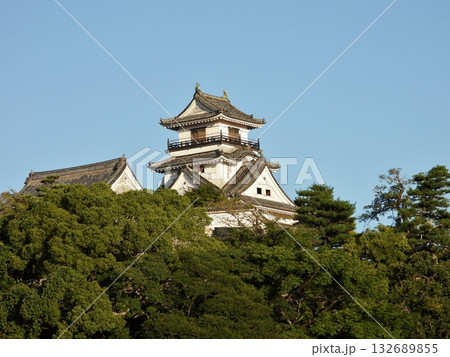 鷹城とも呼ばれる高知城 鷹城とも呼ばれる高知城 132689855