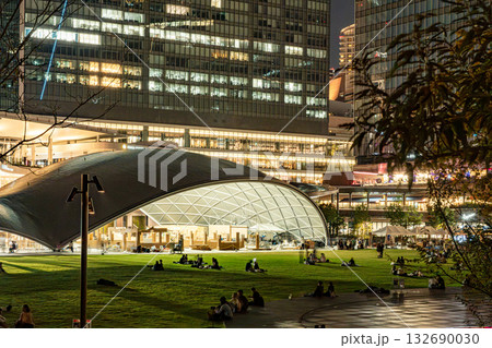 夜に輝くビル群と公園 132690030