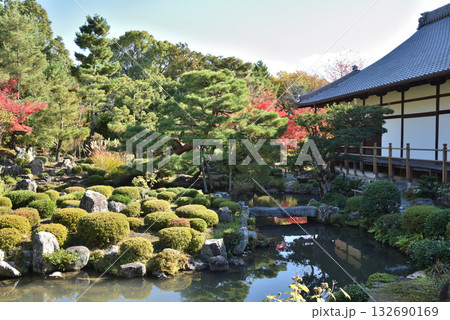 秋の等持院 庭園「芙蓉池」京都市北区 秋の等持院 庭園「芙蓉池」京都市北区 132690169