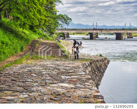 宇治の平等院鳳凰堂(奈良県・宇治市・夏) 132690205