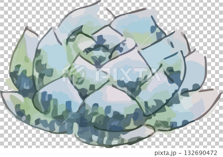 Cute hand-drawn watercolor cactus illustration Cute hand-drawn watercolor cactus illustration 132690472