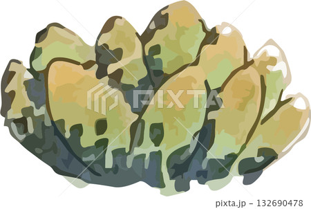 かわいい手描きの水彩タッチのサボテンイラスト 132690478