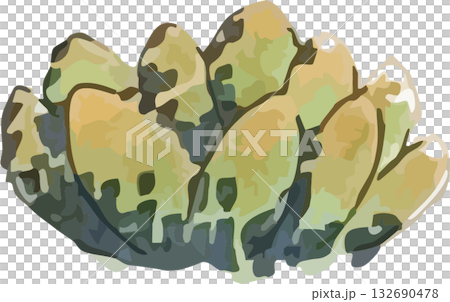 かわいい手描きの水彩タッチのサボテンイラスト 132690478