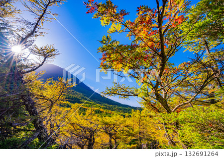 【山梨県】紅葉が美しい富士山・奥庭　日の出 132691264