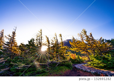 【山梨県】紅葉が美しい富士山・奥庭　日の出 132691282