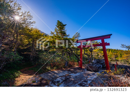 【山梨県】富士山・奥庭の天狗岩鳥居　日の出 132691323